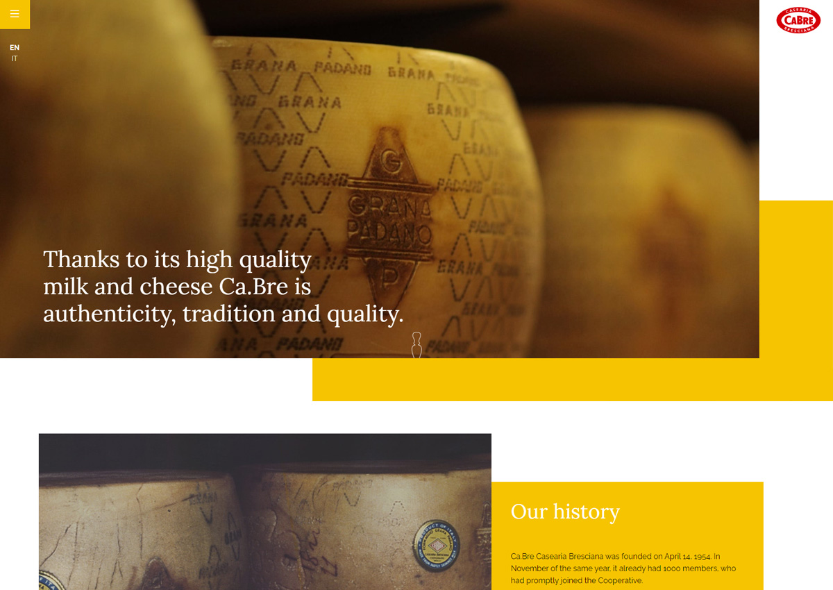 奶酪制品外贸网站